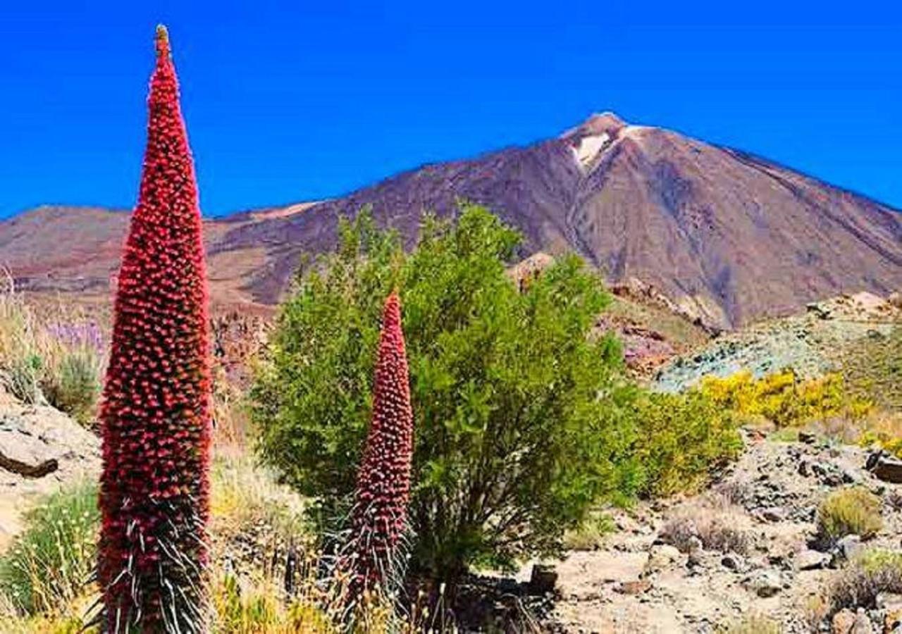 Casa Tayri De Tamaide Tenerife Sur サンミゲル・デ・アボナ エクステリア 写真